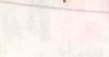 Casa Ocupada com 3 Quartos em Araçatuba/SP