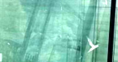 Vidro Temperado 8mm com 40m² - Ideal para Construção