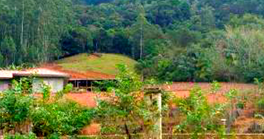 Espaçoso Terreno Rural de 87.500m² em Área Ocupada