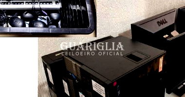 Lote 227: Equipamentos de Informática e Monitores