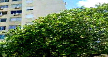 Apartamento 1007 com Box de Garagem em Sarandi - Porto Alegre