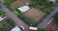 Terreno Urbano 273m² em Vista Gaúcha/RS - Lote 08