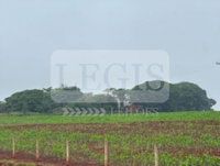 Imóvel rural com 3,5 alqueires em Maracaí/SP