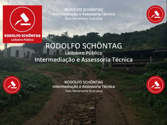 Chácara Rural 3,00 ha em Pilõezinhos com área ampla