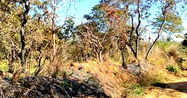 Terreno em Caldas Novas com 600m²