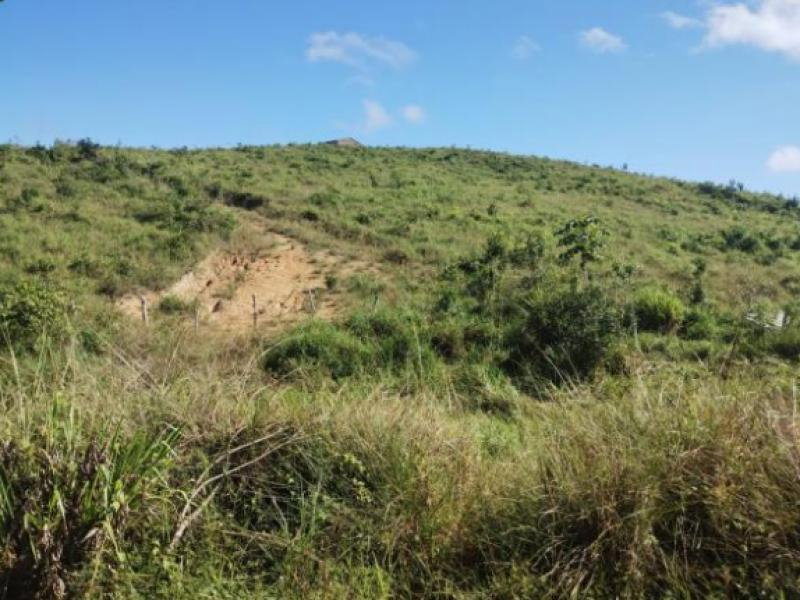 Terreno Amplo em Itaporanga d'Ajuda - 65.545 m²