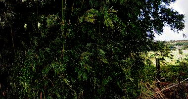 Sítio/Chácara Fazendinha das Sucupiras 21.386m² Rural