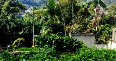 Terreno com 428,40 m² em Blumenau - SC