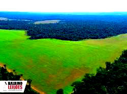Terreno com Benfeitorias em Sorriso - MT