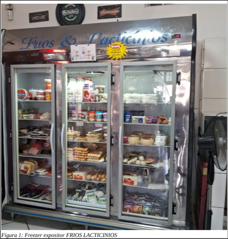 Freezer Expositor Vertical em Funcionamento Regular