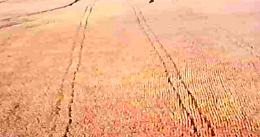 Terreno Rural com 106,65ha em Nova Guarita/MT