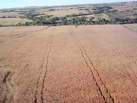 Terreno Rural com 106,65ha em Nova Guarita/MT