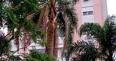 Apartamento com 1 vaga em Porto Alegre - Vila São José