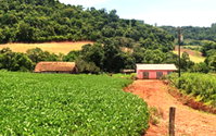 Área Rural com Casa e Galpão em Pérola D'oeste