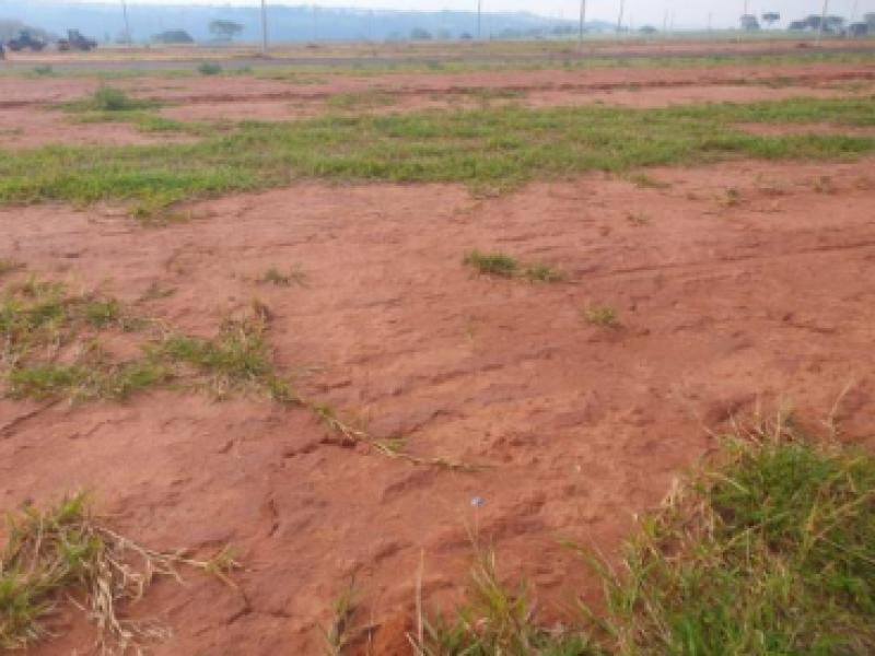 Terreno 250m² em Jardim Botânico I, Marília/SP -