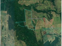 Área Rural em Leilão - 551,14ha em Miranda/MS