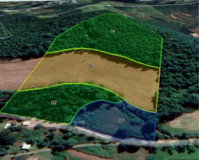 Sítio Rural com 45.074 m², Plantio e Silvicultura