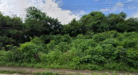 Terreno Rural de 50% em Fazenda Barra do Onça