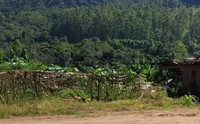 Terreno urbano 498,92m² em Encantado/RS - Lote 001