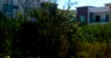 Terreno Ocupado em Residencial Veredas com 220m²