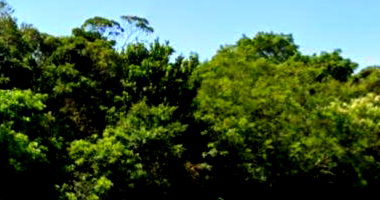 Terreno Amplo em Florianópolis com 147.071m²