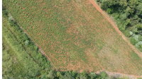 Imóvel rural com 76.620,92m² e 3 casas em Severiano de Almeida