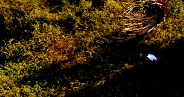 Terreno com 250m² no Jardim Riviera em Cambé/PR