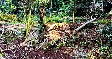 Lote Urbano 47 em Mondaí - Área de 448m²