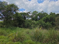 Lote Rural com 10,3146 ha em Lindoeste/PR