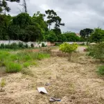 Terreno 2.744,93m² no Butantã