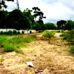 Terreno 2.744,93m² no Butantã