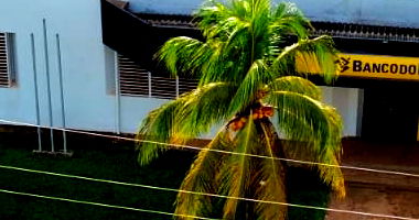Prédio Comercial com 681.85m², locado ao Banco do Brasil
