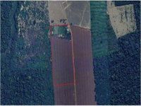 Gleba em Alto Paraíso de Goiás, 8,83 hectares, desocupada