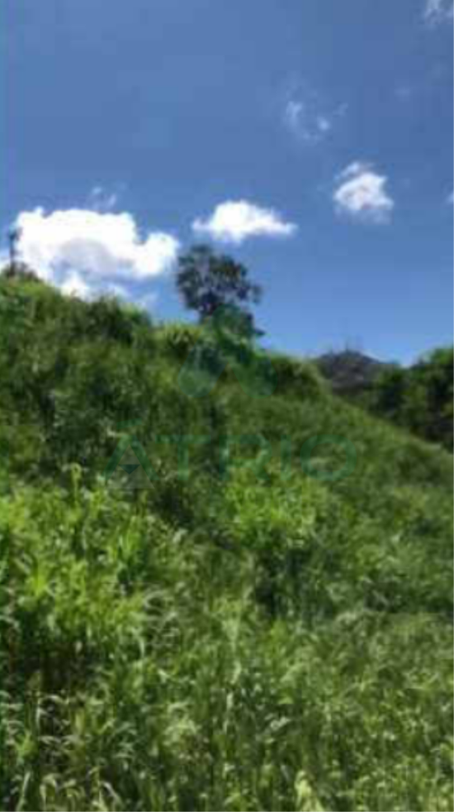 Terreno residencial com 477,75m² em Santa Lúcia