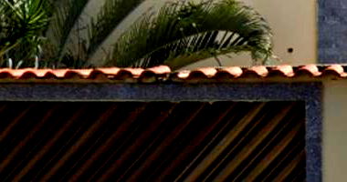 Casa em Olaria - Ocupada com 305 m²