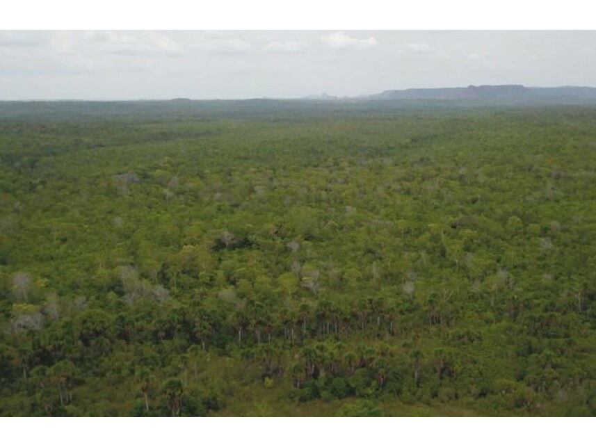 Terreno Rural em Lajeado Novo com 144,45 hectares