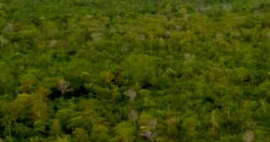 Terreno Rural em Lajeado Novo com 144,45 hectares