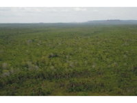 Terreno Rural em Lajeado Novo com 144,45 hectares