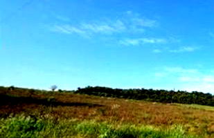 Fração Ideal de 14.270m² em Terreno Rural com Benfeitorias