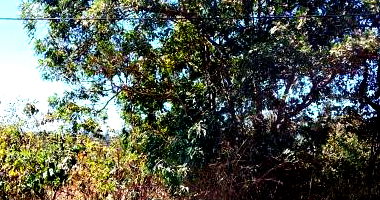 Terreno com Direitos Possessórios em Brasília