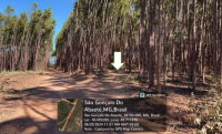 Fazenda São Felix com 102,35 hectares, desocupada