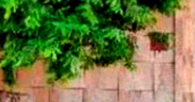 Casa com 55 m² em Itumbiara - GO