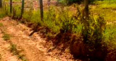 Sítio 4,32 alqueires com 10,46 hectares em Potirendaba-SP