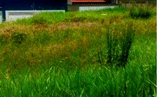 Terreno Residencial com 252m² em São João Batista do Glória/MG