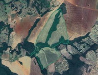 Fazenda Santa Rosa: Imóvel Rural com 71,45 Ha em Ipameri/GO