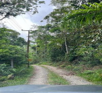 Terreno Urbano com 600m² em Balneário Caiobá