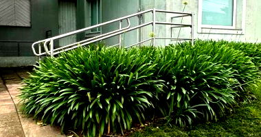 Terreno Urbano com Benfeitorias em Bento Gonçalves