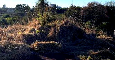 Lote de Terras em Campo Mourão/PR com 420m²