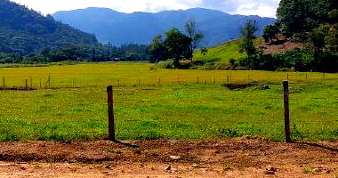 Parte ideal 25% de terreno rural em Rio dos Cedros/SC