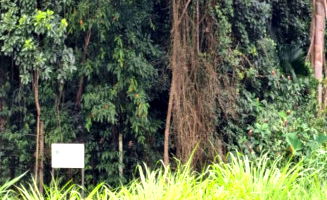 Terreno com 3.584,84m² em Criciúma/SC